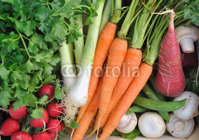 légumes crus, carottes, radis, oignons et champignons, 