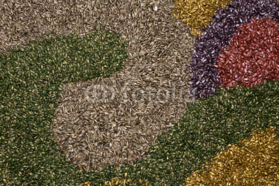 Colorful sunflower seeds