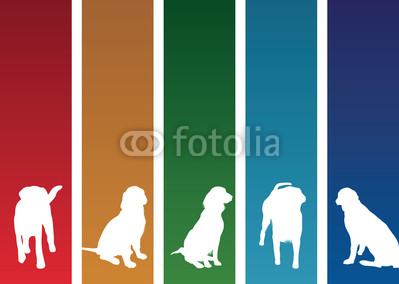 colourful dog banners