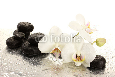 Spa stones and orchid flowers, isolated on white.