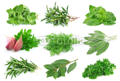 Set from green spice