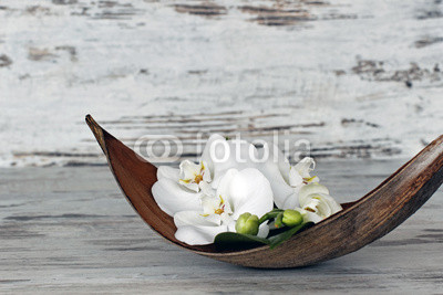 Orchideen in Palmblattschale
