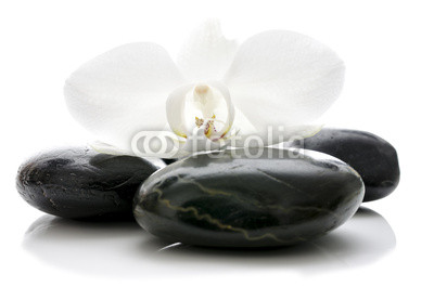 Orchid flower on zen stones