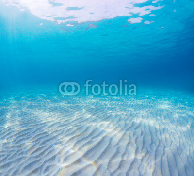 Sea