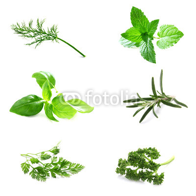 Set of Fresh Herbs