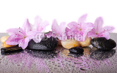 Pink flowers and black stones