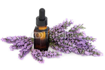 Lavender Herb Flowers