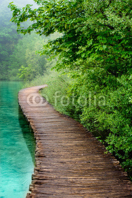 Wooden Bridge