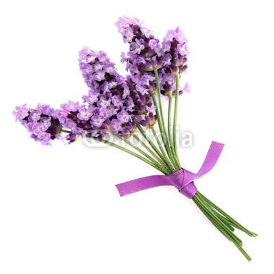 Lavender Herb