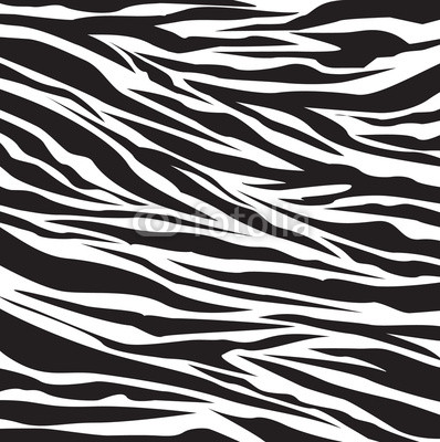 zebra pattern
