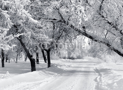 Winter park, scenery
