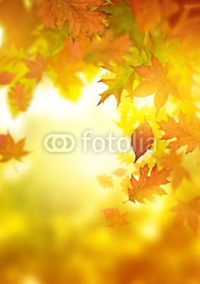 Autumn Falling Leaves