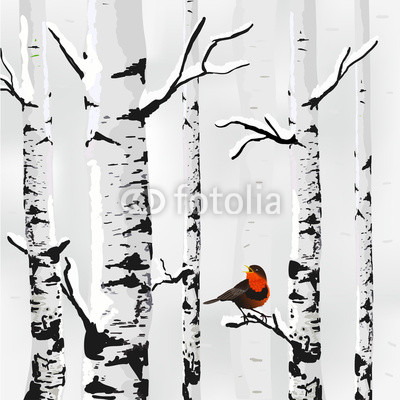 Birch in snow, winter card in vector