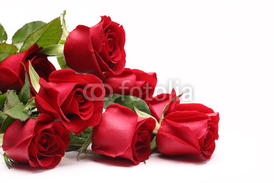 Bouquet of roses