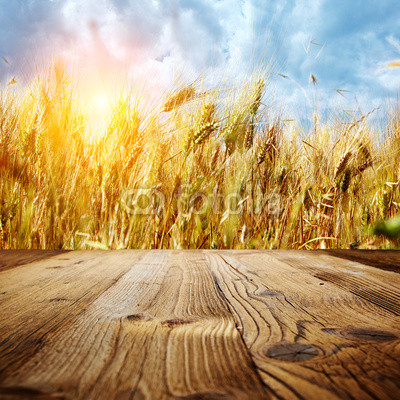 wood textured backgrounds on the tuscany landscape