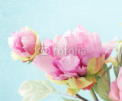 peony flowers