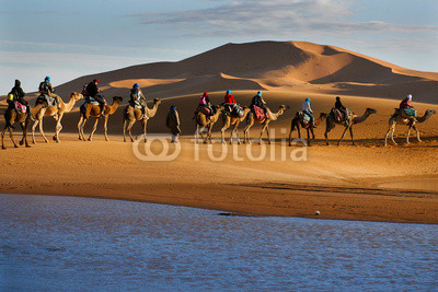 Caravan of tourists passing desert lake on camels