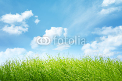 Natural backgrounds