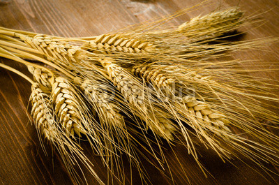 Spighe di grano
