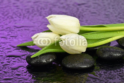 Tulipany na kamieniach do spa