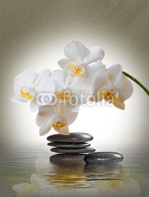 Orchideenblüte über Wasser mit Schmucksteinen