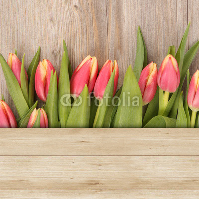 Tulpen auf Holz