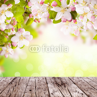 Spring background with free space for text