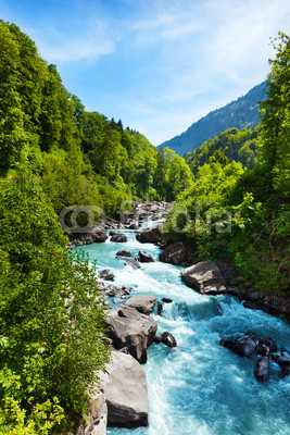 Vivid Swiss landscape with  pure river stream