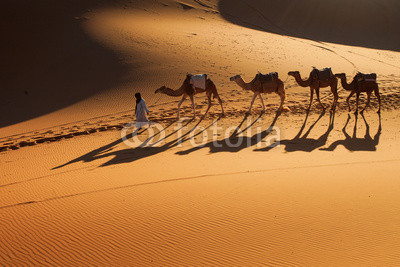 Desert Sahara, Camel Ride Caravan, Enjoying and happy People