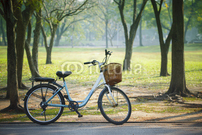 old vintage bicycle in public park with green nature concept