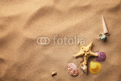seashells on sand beach