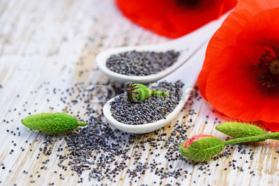 Mohn