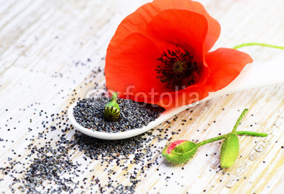 Mohn