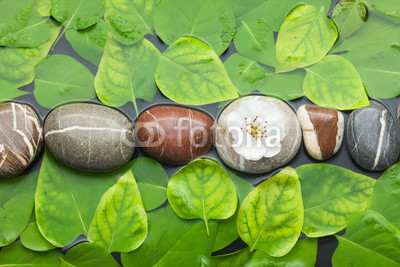 Striped stones and leaf in water on a wet  background