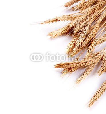 Wheat