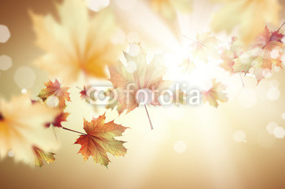 Autumn background