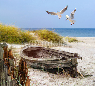 altes Fischerboot, Möwen, Strand und Meer