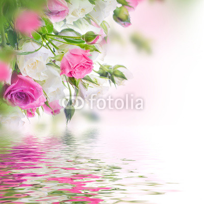 Bouquet of white and pink roses. Floral background.