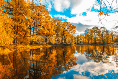 autunm trees