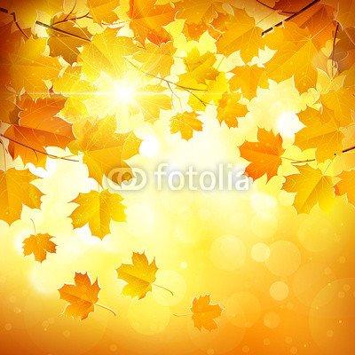 Autumn leaves