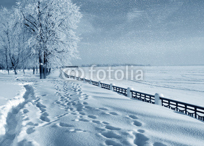 Winter nature,