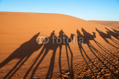 Caravan with tourists in the Sahara. Morocco, Africa