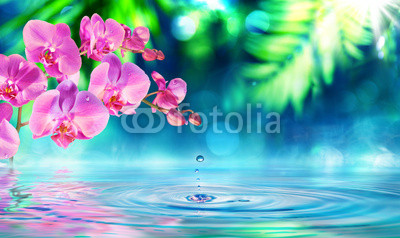 orchid in zen garden with droplet on pond