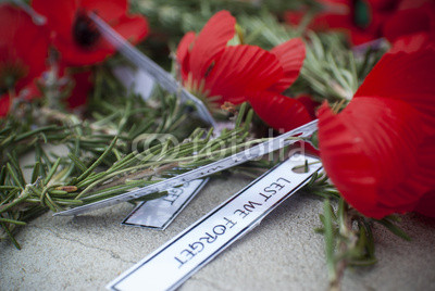 Anzac day remembrance day poppy