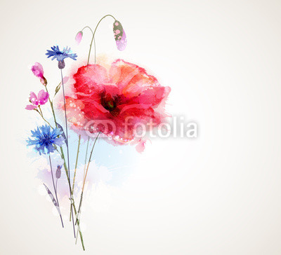 Floral bouquet with poppy and cornflowers
