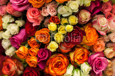 beautiful bouquet of multicolored roses
