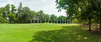 green grass field in big city park