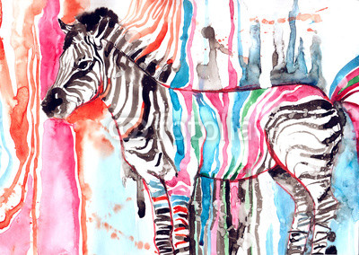 zebra
