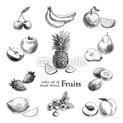 Vector set of hand drawn vintage  fruits and berries.