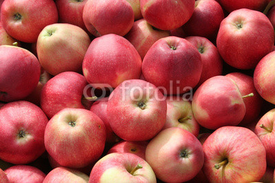 mele rosse 